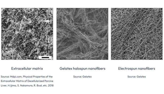 Halospun nanofibers
