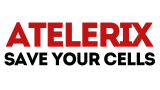 Atelerix Atelerix