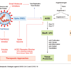 Biological Therapeutic Strategies against SARS-CoV-2 and COVID-19