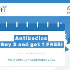 Buy 3 Get 1 Free on Antibodies!