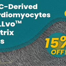 15% off Cardiomyocytes and CELLvo Matrix Plus!