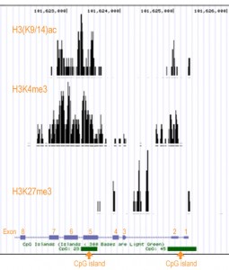 ChIP_seq (ChIP sequencing) data for H3(kp/14)ac, H3K4me3, H3K27me3.