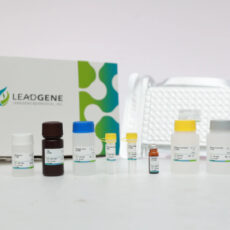 LEADGENE® Indoxyl Sulfate ELISA Kit: Rapid Detection and Surveillance of Chronic Kidney Disease