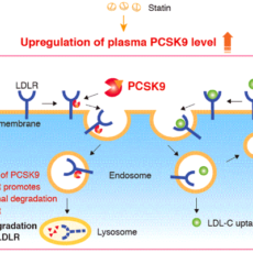 Beyond cholesterol metabolism: The pleiotropic effects of (PCSK9)