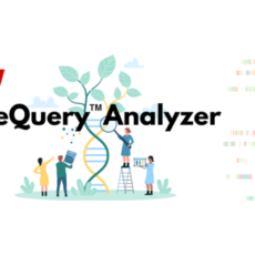 GeneQuery Analyzer Tool for data analysis and interpretation of GeneQuery™ qPCR Array kits