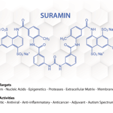 SURAMIN – A Multifunctional Small Molecule with over 100 Years of History