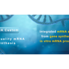 Discover Oz Biosciences’ Custom and Ready-to-use mRNA service