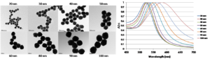 Nanovex Gold Nanoparticles range analysed by TEM and UV-Vis spectroscopy