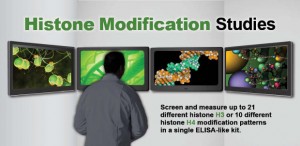 Complete solutions for histone modification studies, including H3 and H4 histone screening kits