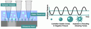 DAS™ produces acoustic energy in a shallow amount of water, which creates millions of cavitation bubbles. cavitation bubbles implode after reaching sufficient size, intense shock waves are transmitted into vessels containing samples